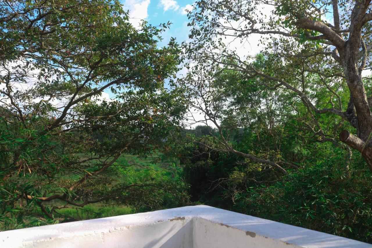 Divine Villa Anuradhapura Bagian luar foto